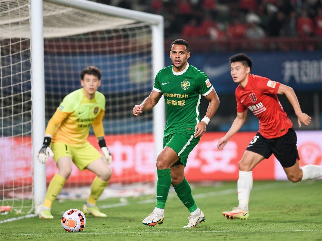 成了安装 成了安装